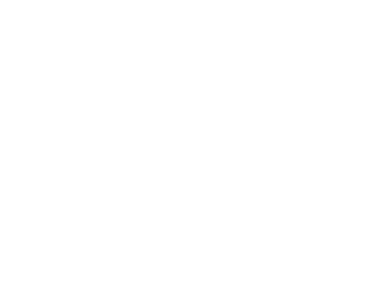 Elite Immigration